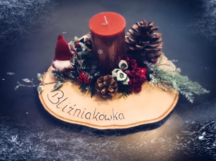 Blizniakowka Βίλα Brenna Εξωτερικό φωτογραφία